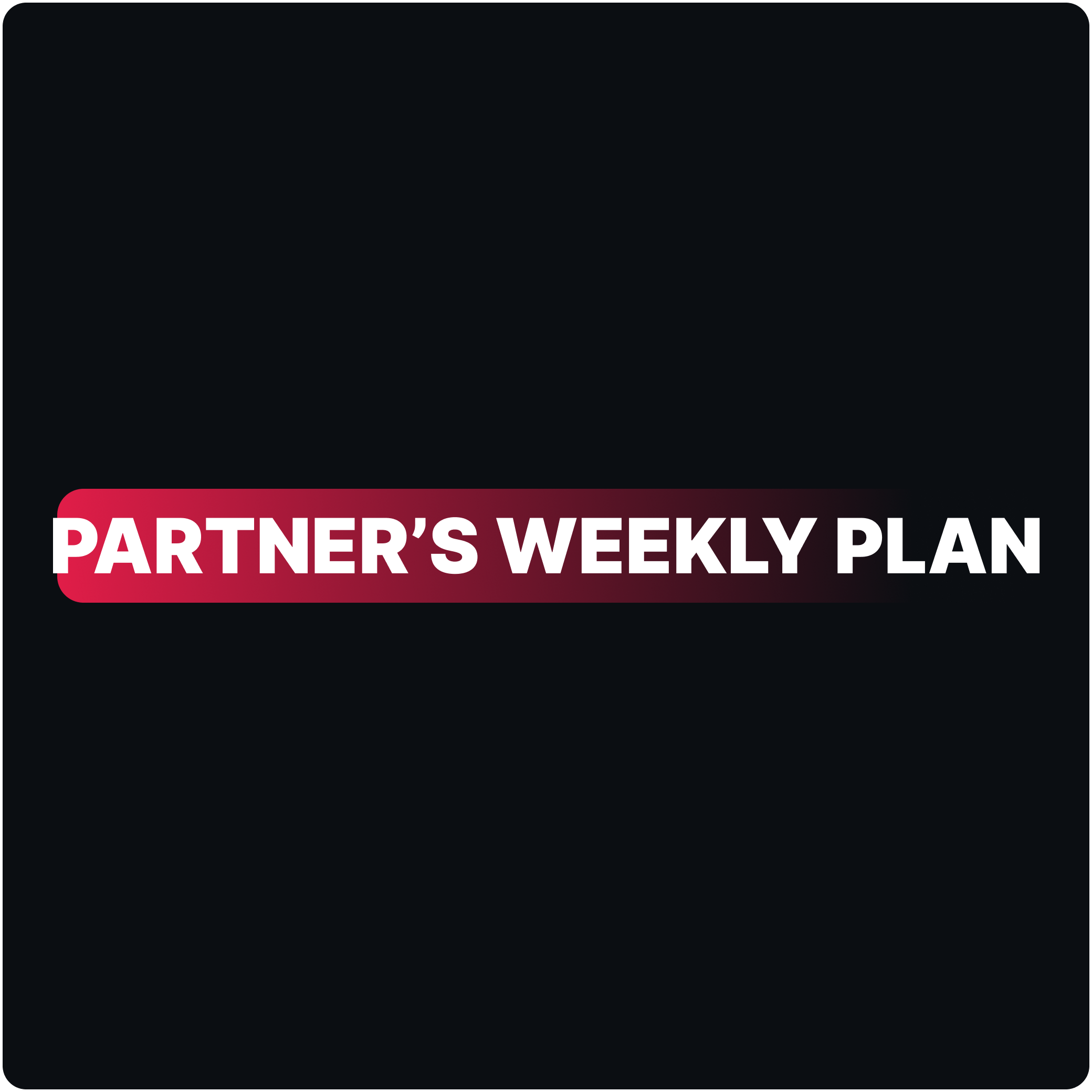Partner’s Weekly Plan – Done-For-You Ads Management